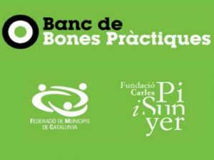 logo fundació carles pi y sunyer