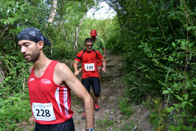 montseny-circuit-curses-muntanya-cecs