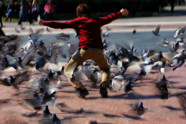 coloms plaça catalunya guia turística discapacitat