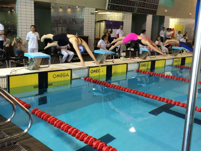 campionat de catalunya open hivern natació adaptada