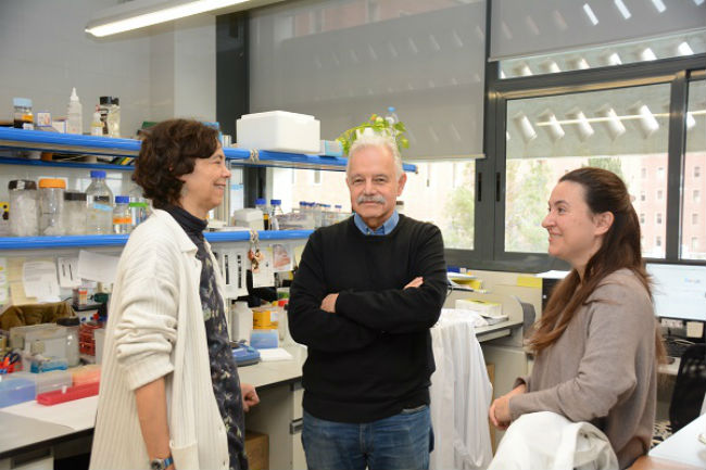 equip investigadors ub síndrome d'Opitz