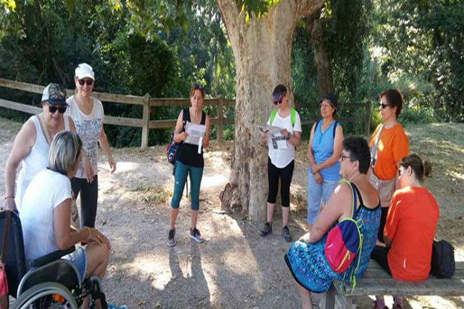 fi temporada programa hospisport fcedf