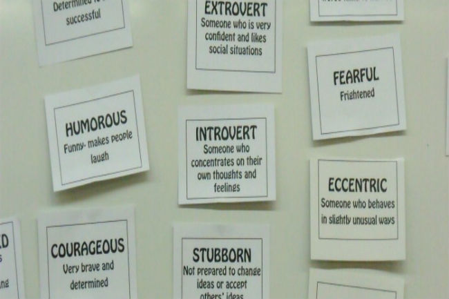 curs angès mental health friedly salut mental