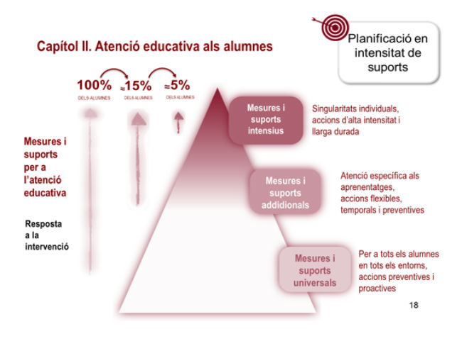 esquema pla educació inclusiva centres ordinaris