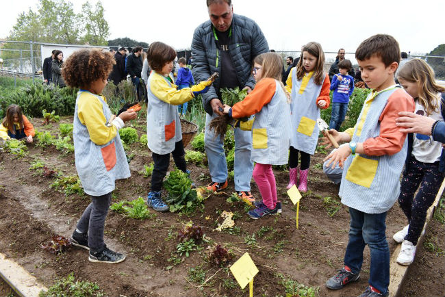 treballador drisa projecte pedagògic inclusió social hort escola