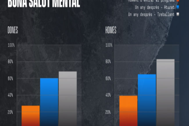 acompanyament inclusió laboral millora salut mental feina