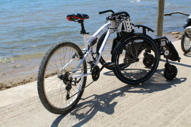 afis serveis millorar vida persones diversitat funcional terres del ebre