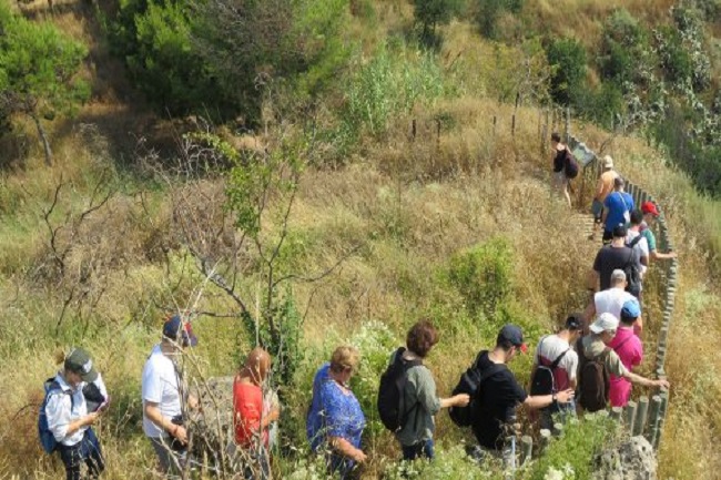 Persones amb diversitat funcional fent una excursió per la muntanya de Montjuïc ajuntament barcelona guies turístics atendre persones diversitat funcional