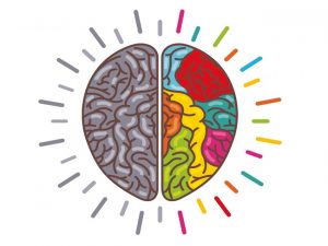 campanya fafac prevenció salut cerebral cuida cervell