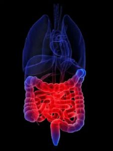 enquesta malaltia inflamatòria intestinal grau discapacitat