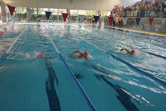 En la jornada hi van participar 12 escoles de tot Catalunya primera jornada escolar temporada natació