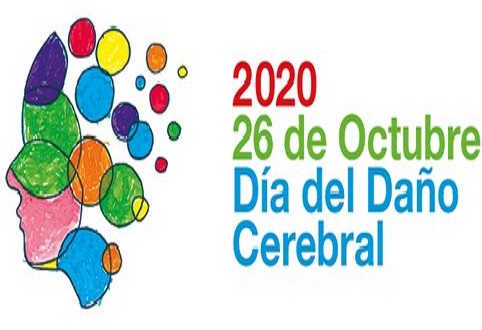 dia nacional dany cererbral adquirit