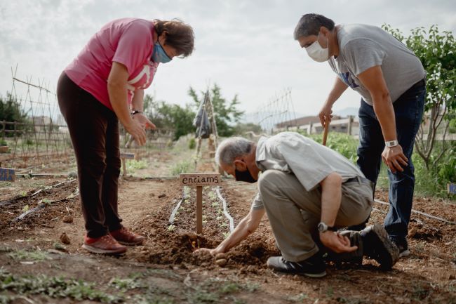 projecte llavors oportunitats alba jussa