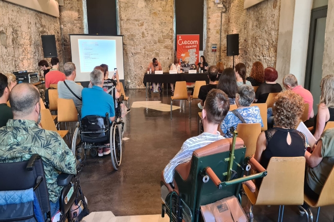 vulneracions de drets persones discapacitat física