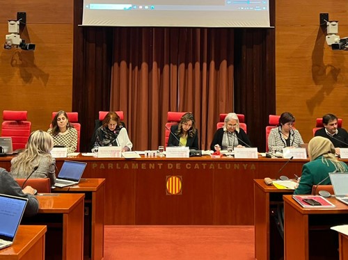 sindica de greuges parlament de catalunya infants