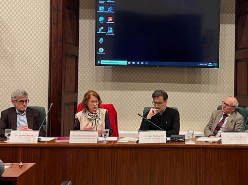 síndica de greuges parlament de catalunya