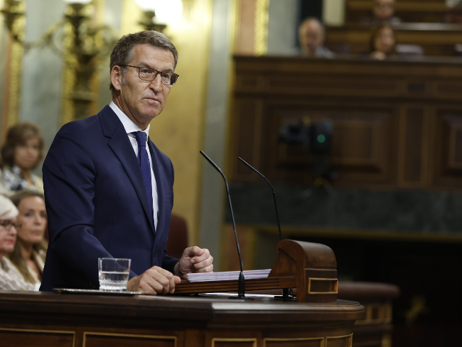 alberto núñez feijóo al congrés dels diputats