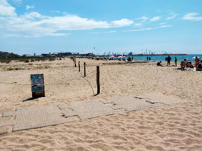 article bandera blava i accessibilitat platges