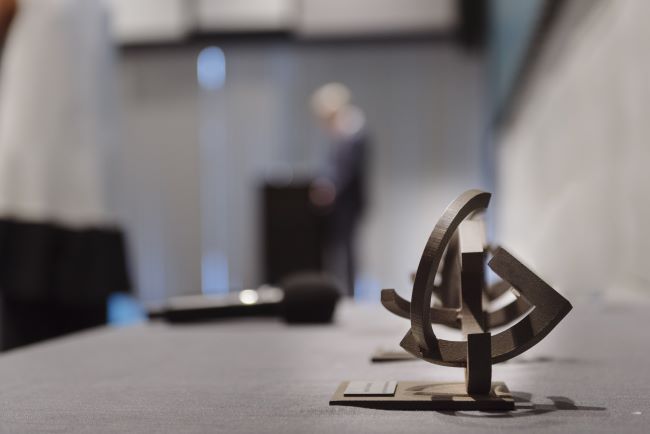 Guardó dels Premis Dependència i Societat