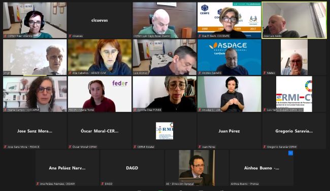 reunió online del Comitè Executiu CERMI Estatal premis cermi.es 2024