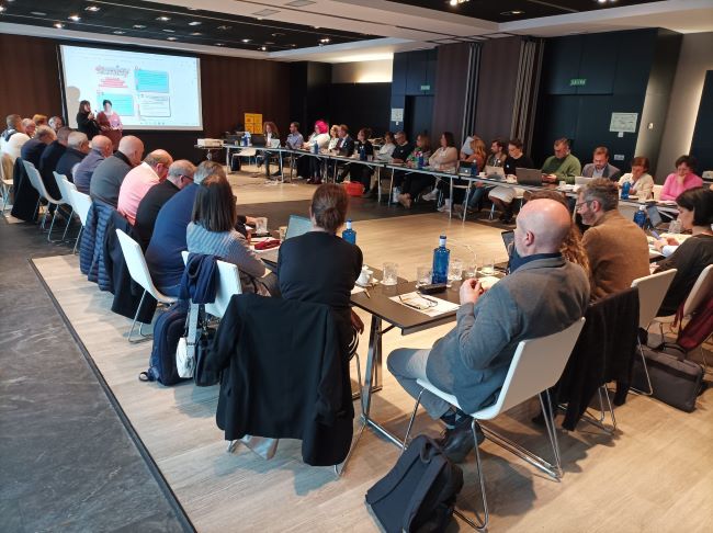 reunió plena inclusió espanya on es va definir el pla estratègic