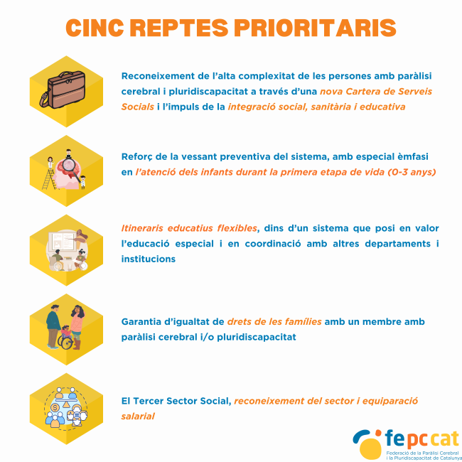 resum cinc prioritats de les persones amb paràlisi cerebral i pluridiscapacitat