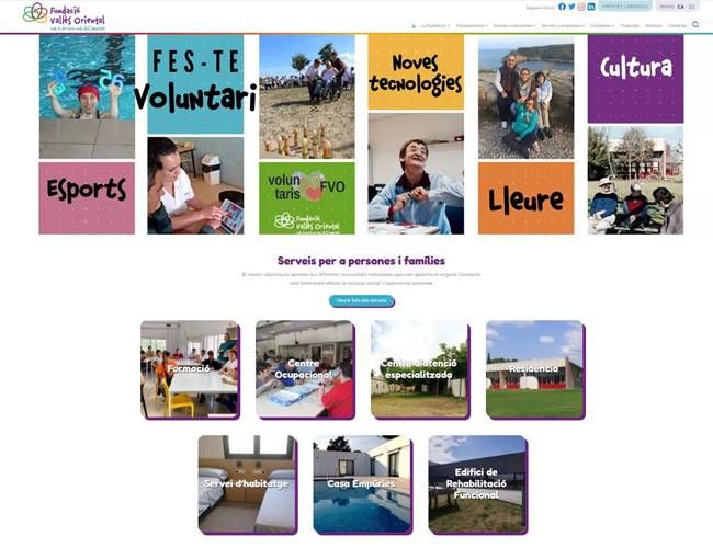 captura pagina web fvo