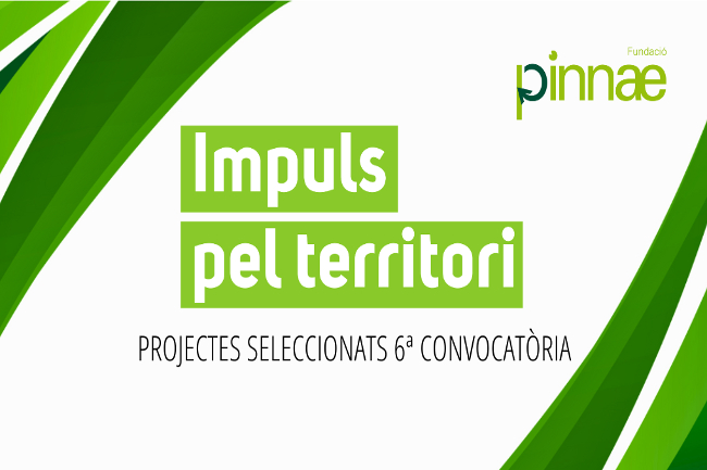 6a convocatoria impuls pel terrritori fundacio pinnae