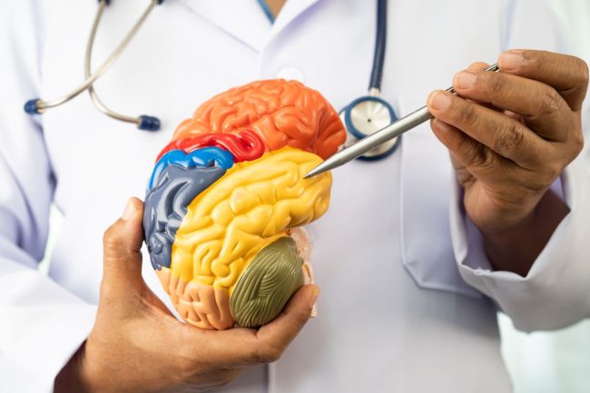 NeuroVoz, una eina pionera per a la detecció precoç del Pàrkinson mitjançant la veu