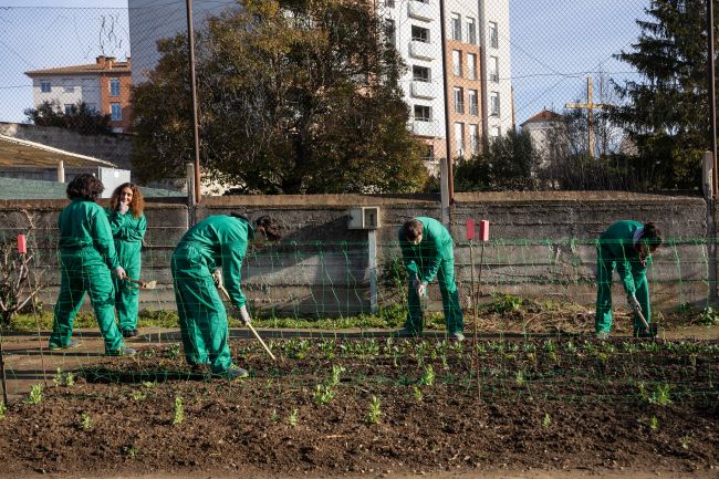 La Fageda impulsa una iniciativa formativa per millorar la inserció laboral i la sostenibilitat
