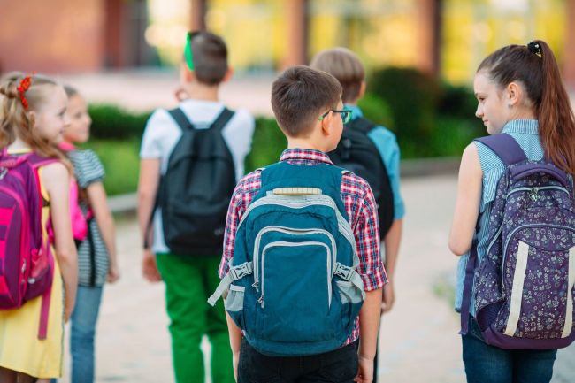 El Govern espanyol destina 311,4 milions a l'educació inclusiva i la millora de competències a les comunitats autònomes