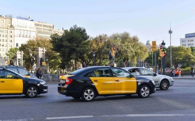Condemnat un taxista a Barcelona per negar servei a dues dones cegues amb gossos guia