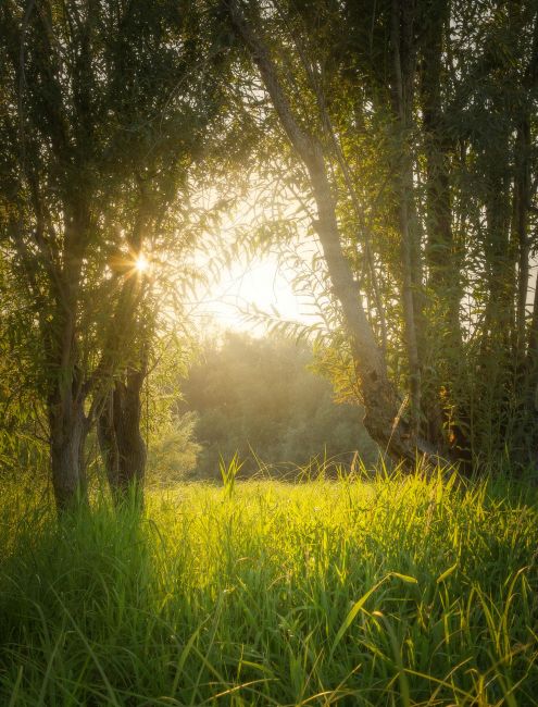 Fe i salut mental: un pont entre l'esperança i la realitat