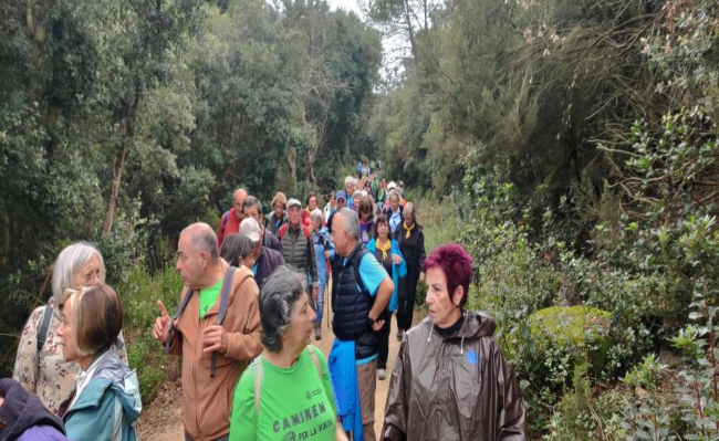 La nova edició del Cicle de passejades per a la gent gran de la Diputació de Barcelona arrenca a la Roca del Vallès