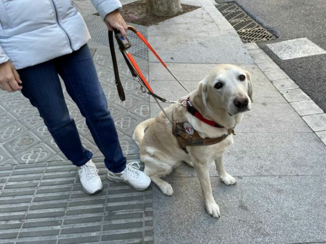 La Sindicatura de Greuges insta l’Ajuntament de Barcelona a reforçar les mesures per garantir l’accessibilitat a l’espai públic