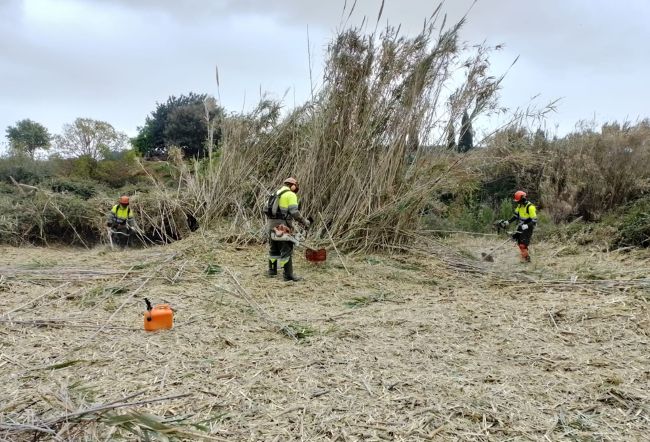 La Diputació de Tarragona destina gairebé 240.000 euros a centres especials de treball per a la conservació d'espais naturals