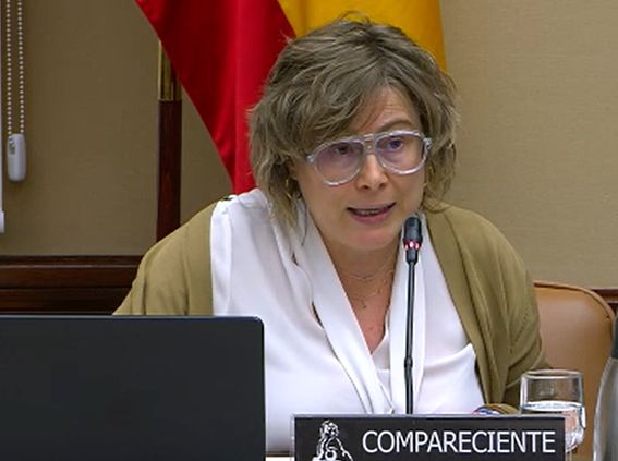 El Cermi alerta que la cura de la infància amb discapacitat augmenta fins a un 40% el cost de vida familiar