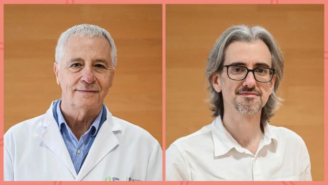 Un estudi europeu constata que la formació de sanitaris millora el compliment de guies clíniques en la fibril·lació auricular