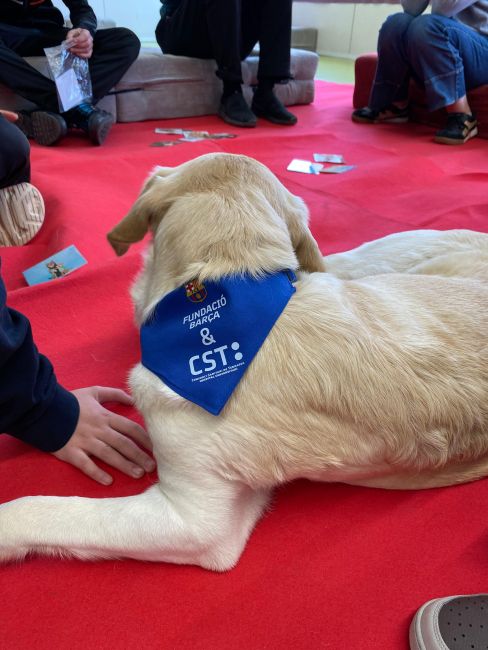 El Consorci Sanitari de Terrassa i la Fundació Barça implementen la teràpia amb gossos per a joves a Rubí