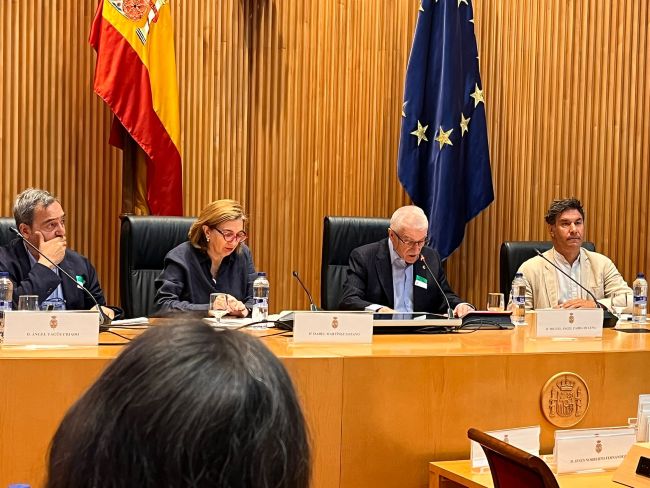 El CERMI exigeix que la futura Convenció Internacional per a la Gent Gran empari les persones amb discapacitat d'edat avançada