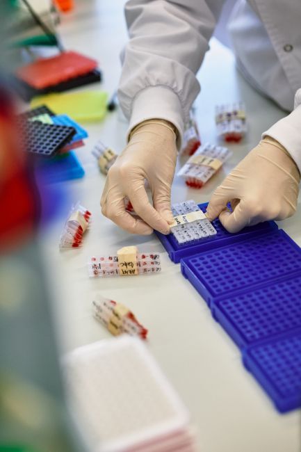 Les jornades ‘Únicas Talks’ aborden els reptes de les malalties rares pediàtriques i l'impuls de la medicina genòmica