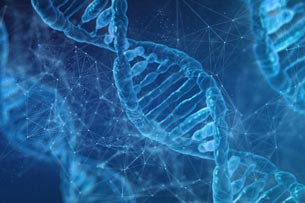 El Dia Mundial de la Síndrome del Cromosoma X Fràgil visibilitza la primera causa de discapacitat intel·lectual hereditària
