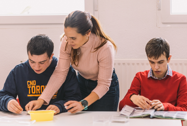 La reforma de les lleis de discapacitat i dependència inclou de forma explícita l’autisme i la formació especialitzada dels professionals