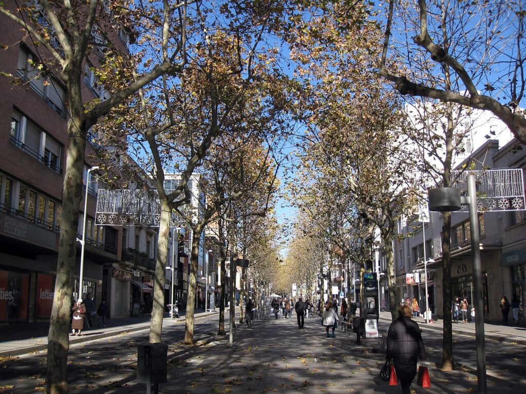 Tensions a Terrassa per les restriccions d’accés amb vehicle a les PMR tot i la renovació del Pacte per a l’Accessibilitat Universal