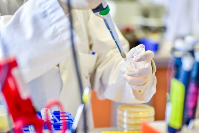 Un total de 37 sol·licituds opten a les beques de recerca sobre l'Alzheimer de la Fundació Pasqual Maragall