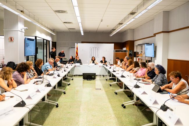 El Govern presenta el Pla CURA al Consell de la Discapacitat amb la intenció per reduir les llistes d'espera en discapacitat i dependència