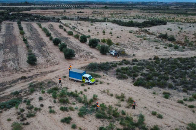 L'equip del CET Parcs i Jardins d’Aspros Empresa finalitza les tasques del projecte europeu LIFE Connect Ricotí per protegir aquesta au, fomentant la inclusió laboral