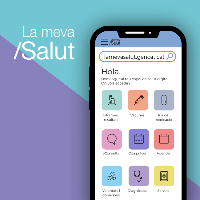 La Síndica de Greuges exigeix solucions digitals per a la gent gran i persones amb discapacitat a La Meva Salut