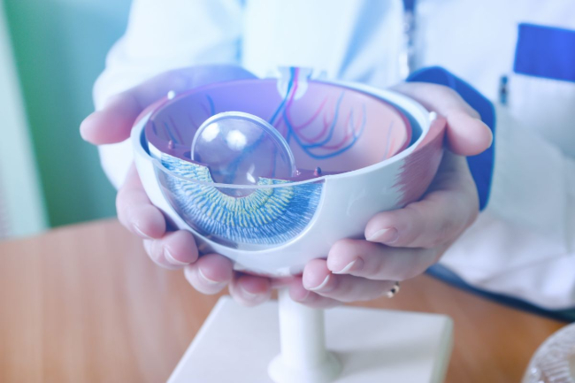 Descobreixen factors genètics per prevenir la ceguesa i l'ictus per arteritis de cèl·lules gegants