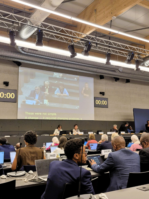 L'ONU coneix el model gironí de salut mental i desinstitucionalització per a la discapacitat